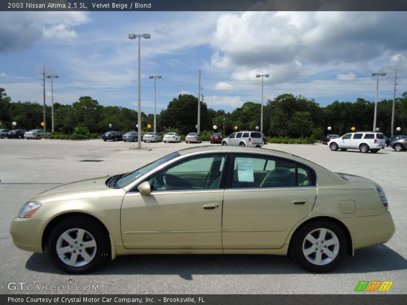 Velvet Beige / Blond 2003 Nissan Altima 2.5 SL