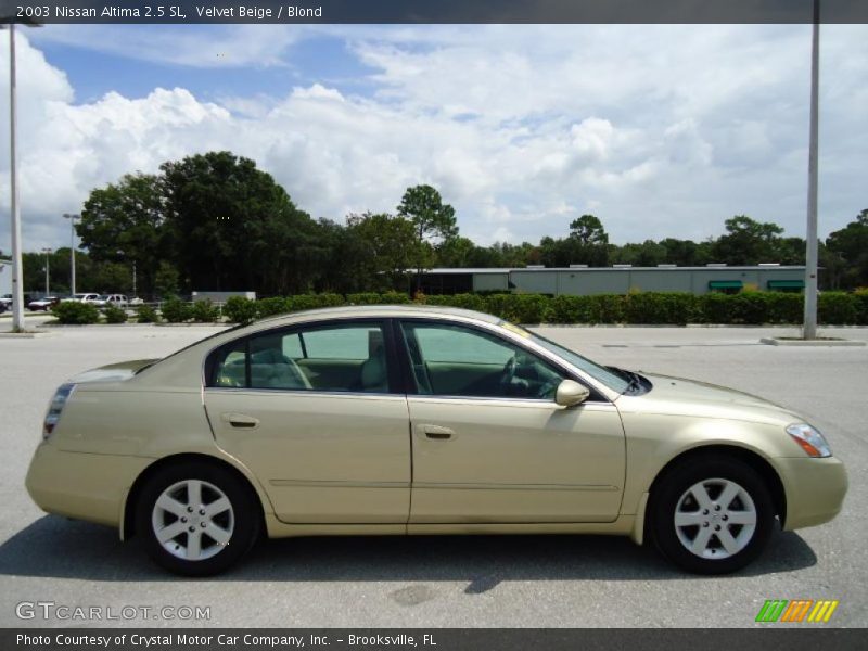 Velvet Beige / Blond 2003 Nissan Altima 2.5 SL