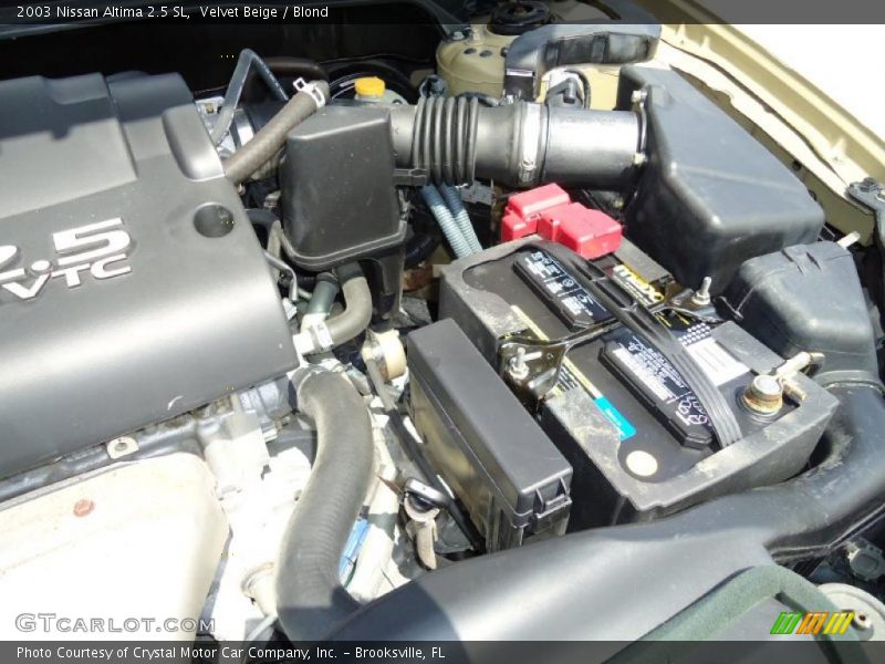 Velvet Beige / Blond 2003 Nissan Altima 2.5 SL
