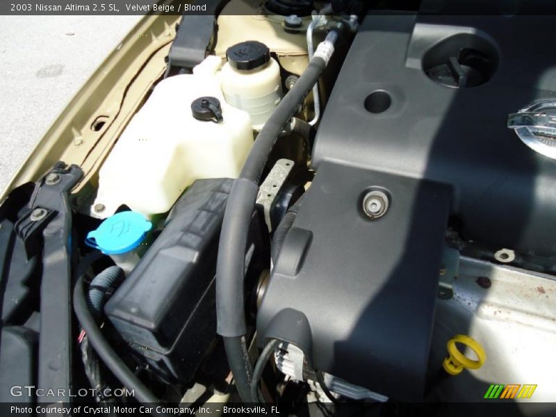 Velvet Beige / Blond 2003 Nissan Altima 2.5 SL