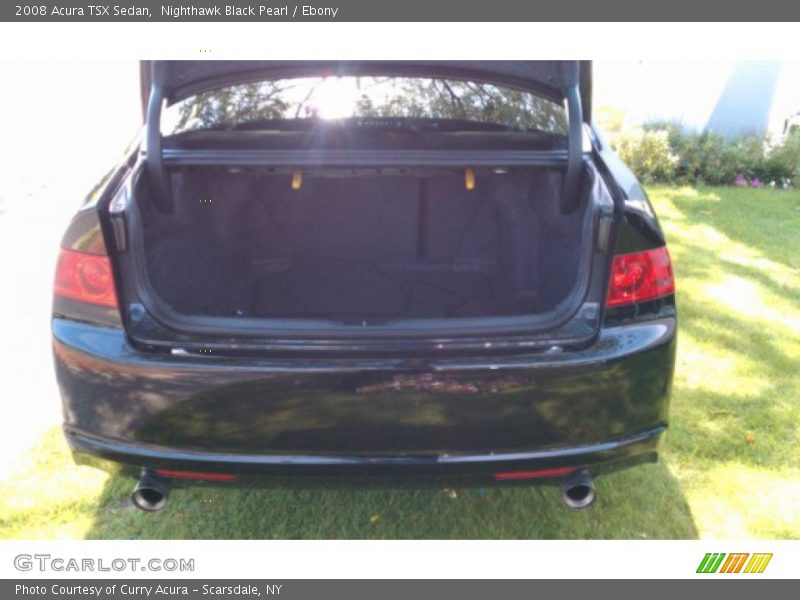 Nighthawk Black Pearl / Ebony 2008 Acura TSX Sedan