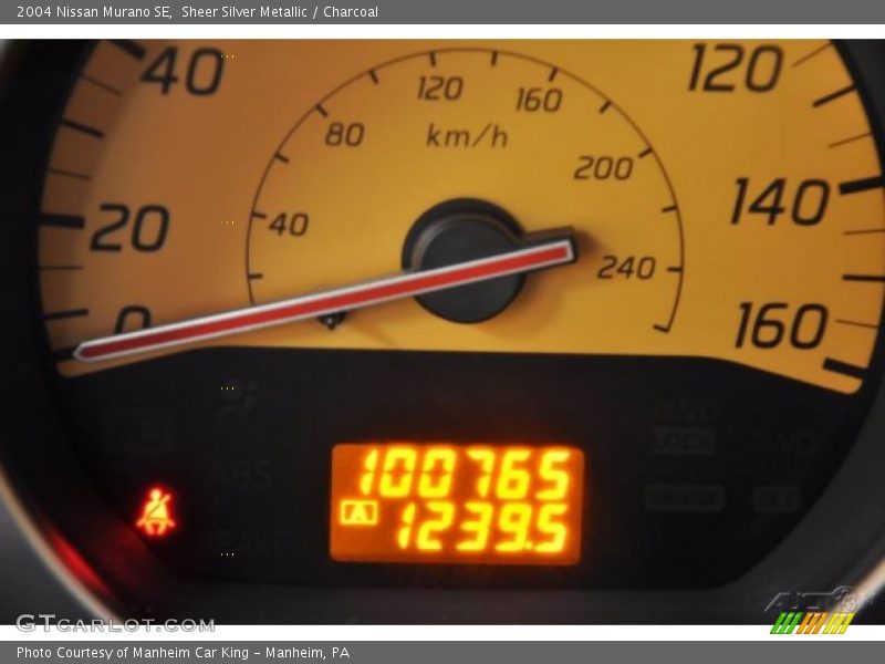 Sheer Silver Metallic / Charcoal 2004 Nissan Murano SE