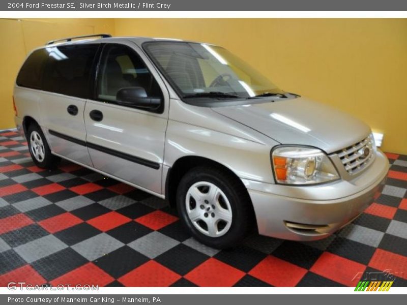 Silver Birch Metallic / Flint Grey 2004 Ford Freestar SE
