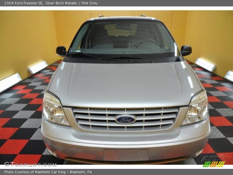 Silver Birch Metallic / Flint Grey 2004 Ford Freestar SE