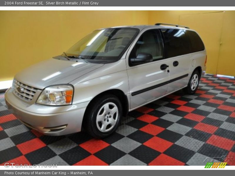 Silver Birch Metallic / Flint Grey 2004 Ford Freestar SE