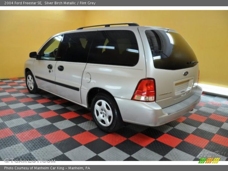 Silver Birch Metallic / Flint Grey 2004 Ford Freestar SE