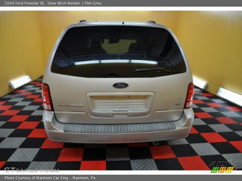 Silver Birch Metallic / Flint Grey 2004 Ford Freestar SE