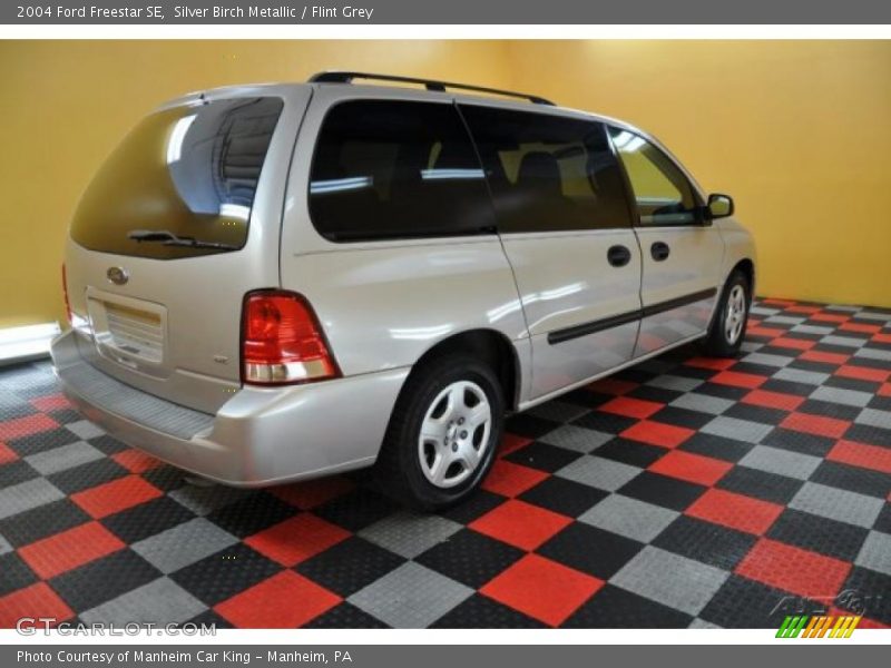 Silver Birch Metallic / Flint Grey 2004 Ford Freestar SE