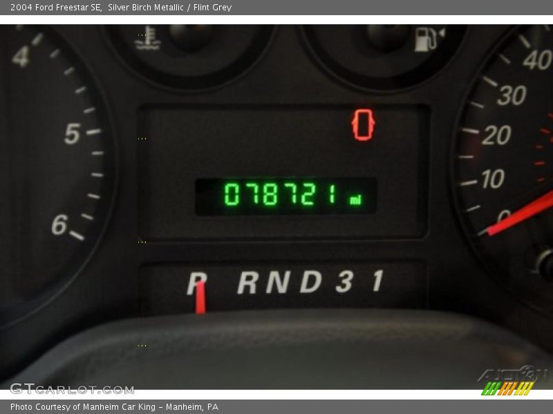 Silver Birch Metallic / Flint Grey 2004 Ford Freestar SE