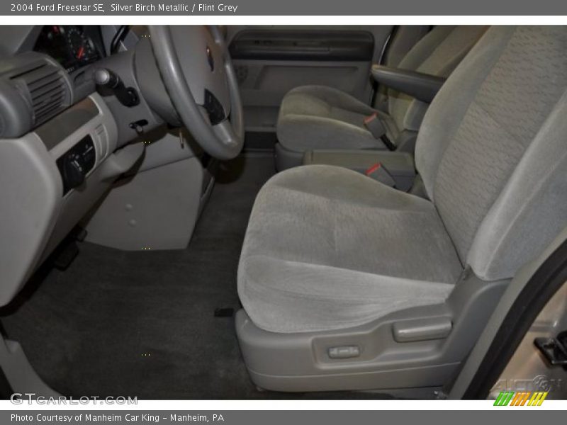 Silver Birch Metallic / Flint Grey 2004 Ford Freestar SE