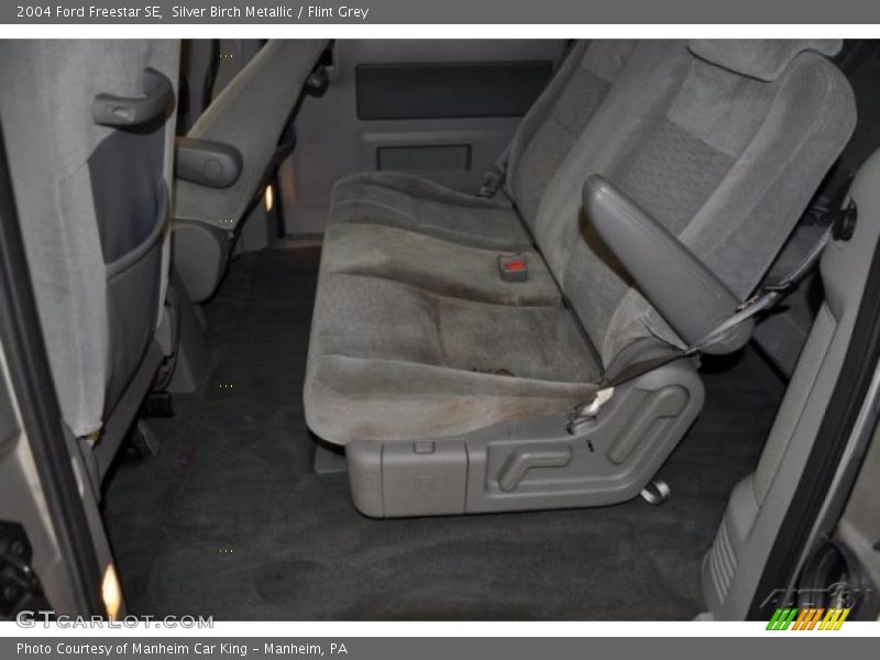 Silver Birch Metallic / Flint Grey 2004 Ford Freestar SE