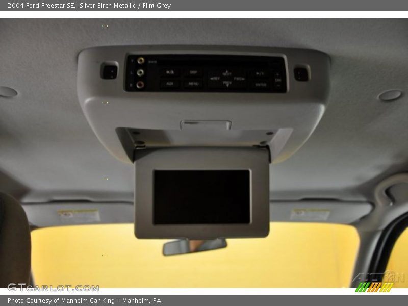 Silver Birch Metallic / Flint Grey 2004 Ford Freestar SE