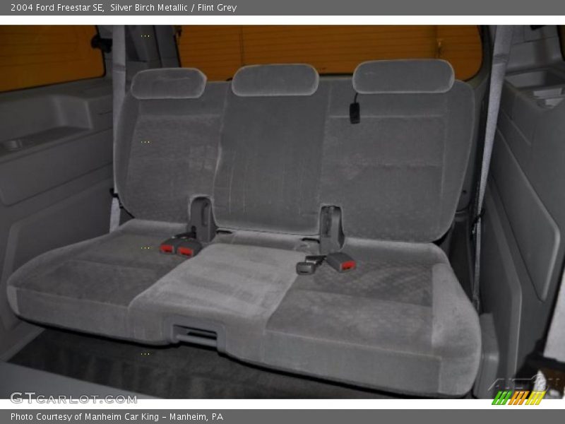 Silver Birch Metallic / Flint Grey 2004 Ford Freestar SE