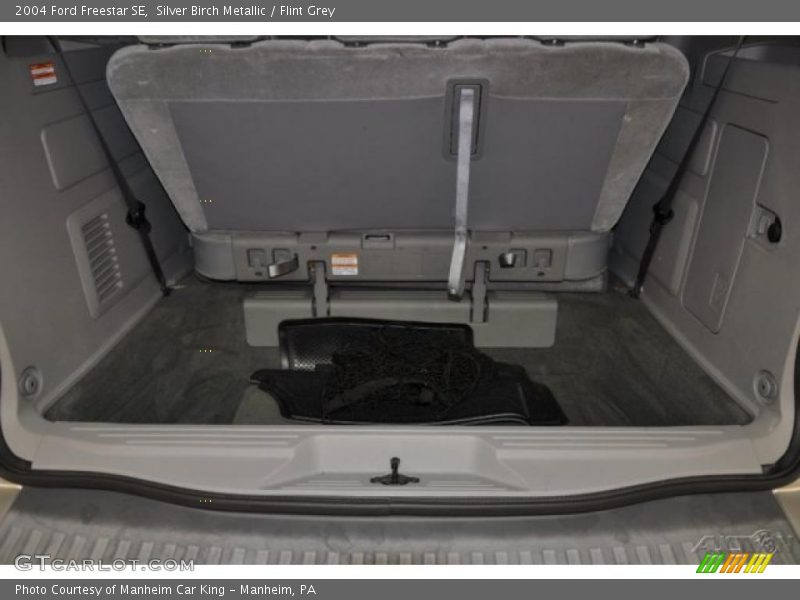 Silver Birch Metallic / Flint Grey 2004 Ford Freestar SE