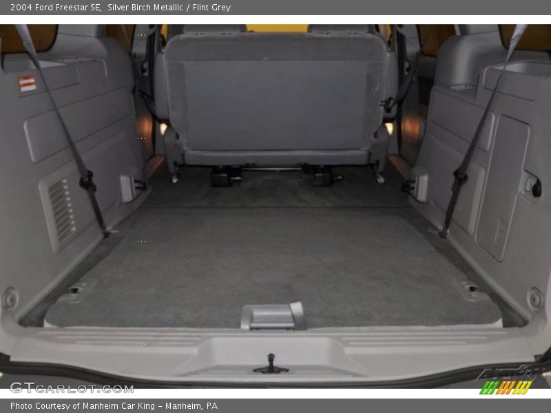 Silver Birch Metallic / Flint Grey 2004 Ford Freestar SE