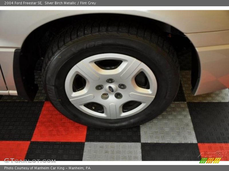 Silver Birch Metallic / Flint Grey 2004 Ford Freestar SE