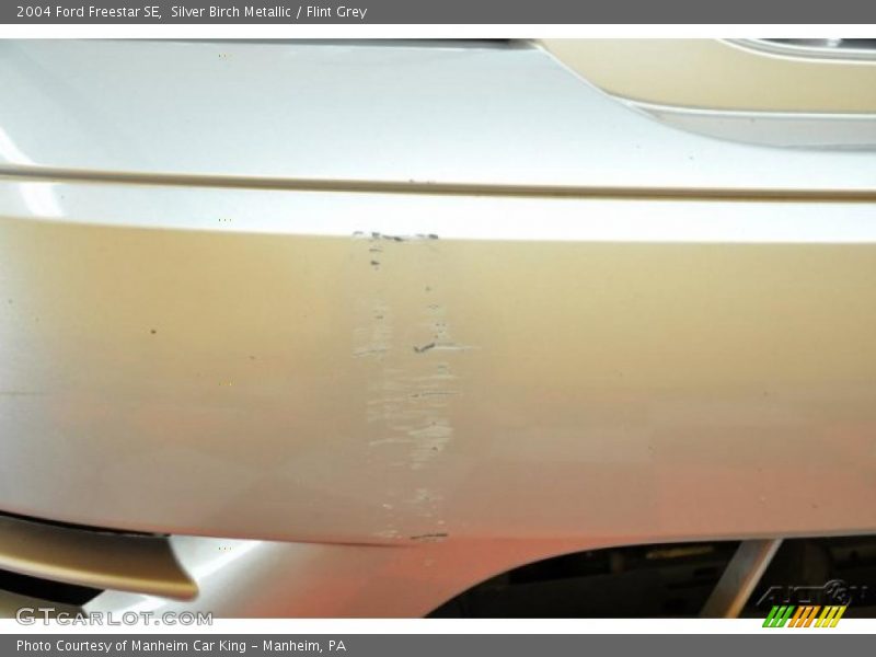 Silver Birch Metallic / Flint Grey 2004 Ford Freestar SE