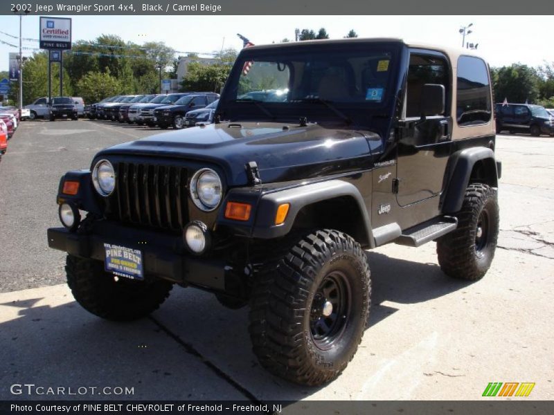 Black / Camel Beige 2002 Jeep Wrangler Sport 4x4