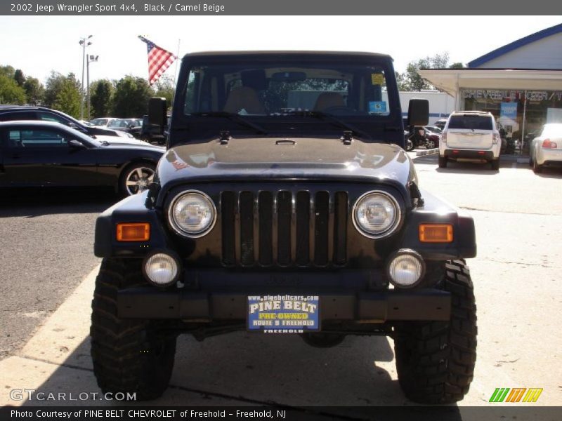 Black / Camel Beige 2002 Jeep Wrangler Sport 4x4