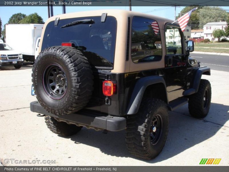 Black / Camel Beige 2002 Jeep Wrangler Sport 4x4