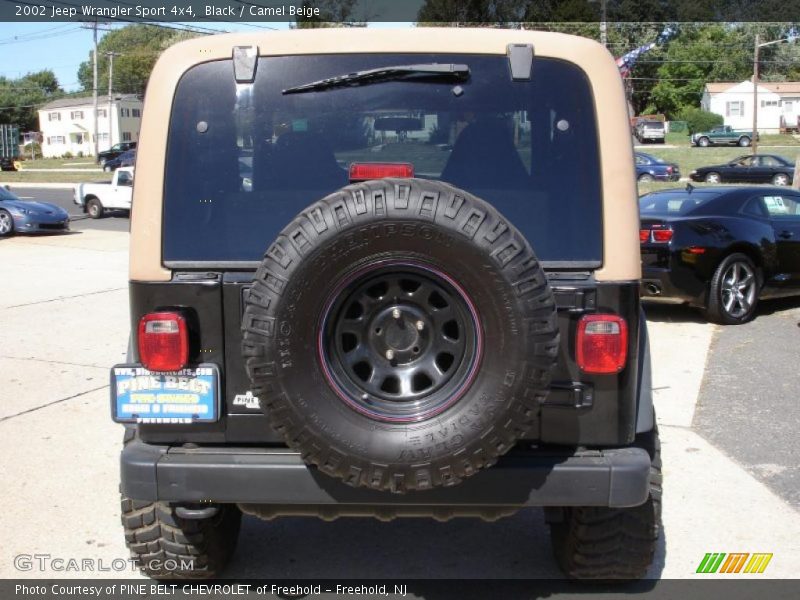 Black / Camel Beige 2002 Jeep Wrangler Sport 4x4