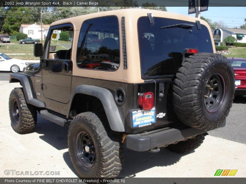 Black / Camel Beige 2002 Jeep Wrangler Sport 4x4