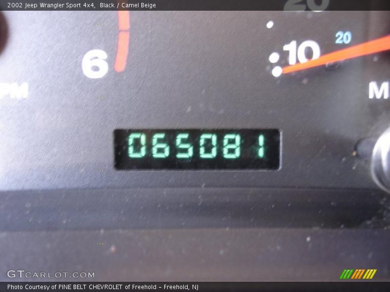 Black / Camel Beige 2002 Jeep Wrangler Sport 4x4