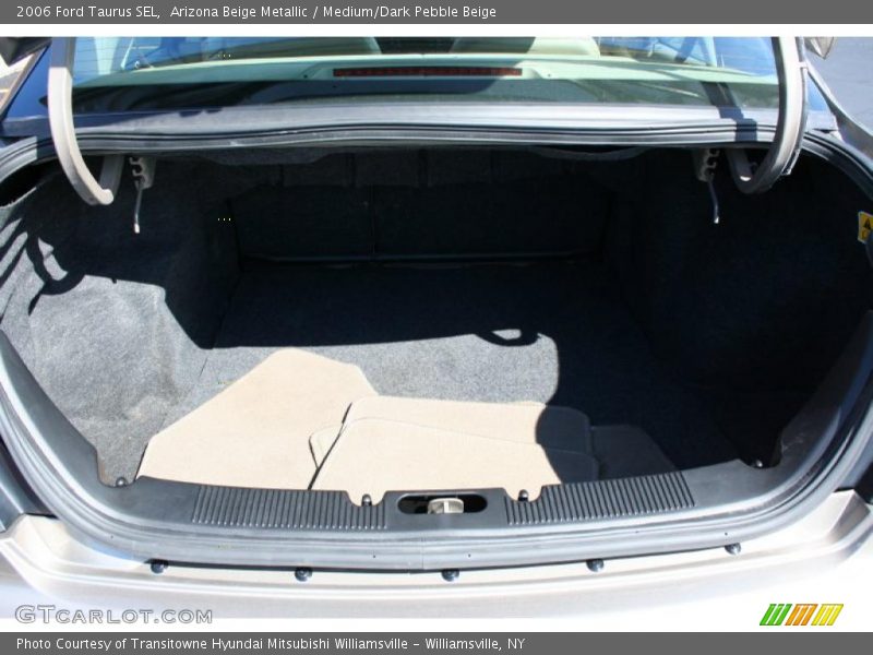 Arizona Beige Metallic / Medium/Dark Pebble Beige 2006 Ford Taurus SEL