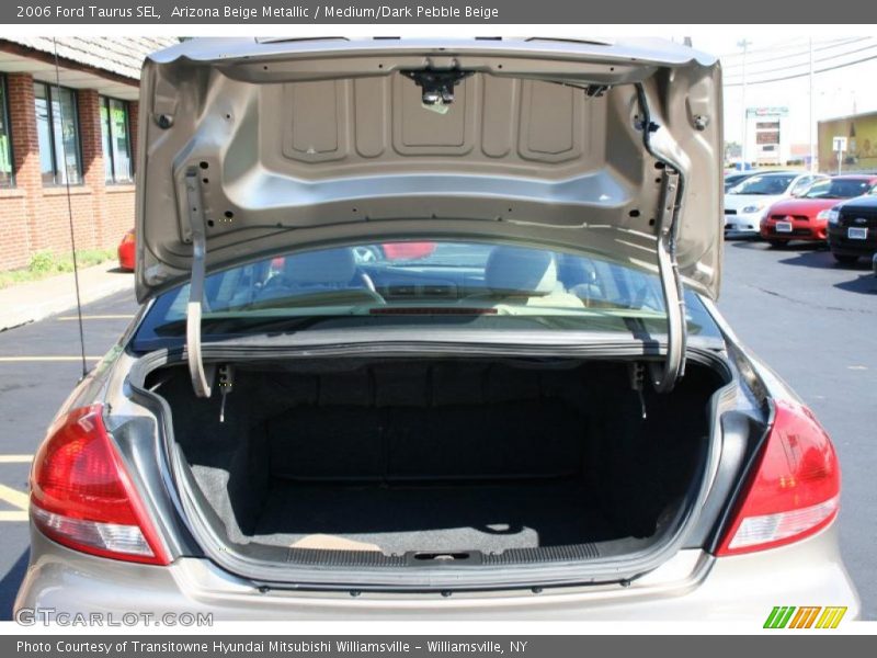 Arizona Beige Metallic / Medium/Dark Pebble Beige 2006 Ford Taurus SEL