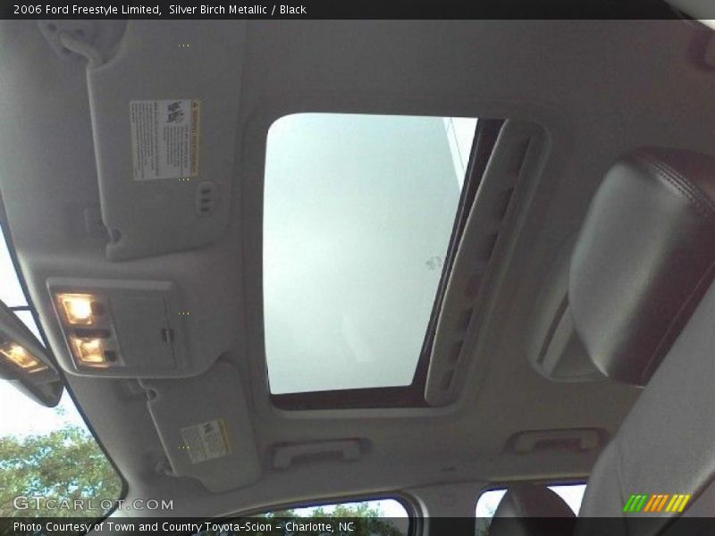 Silver Birch Metallic / Black 2006 Ford Freestyle Limited