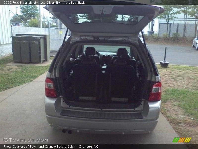 Silver Birch Metallic / Black 2006 Ford Freestyle Limited