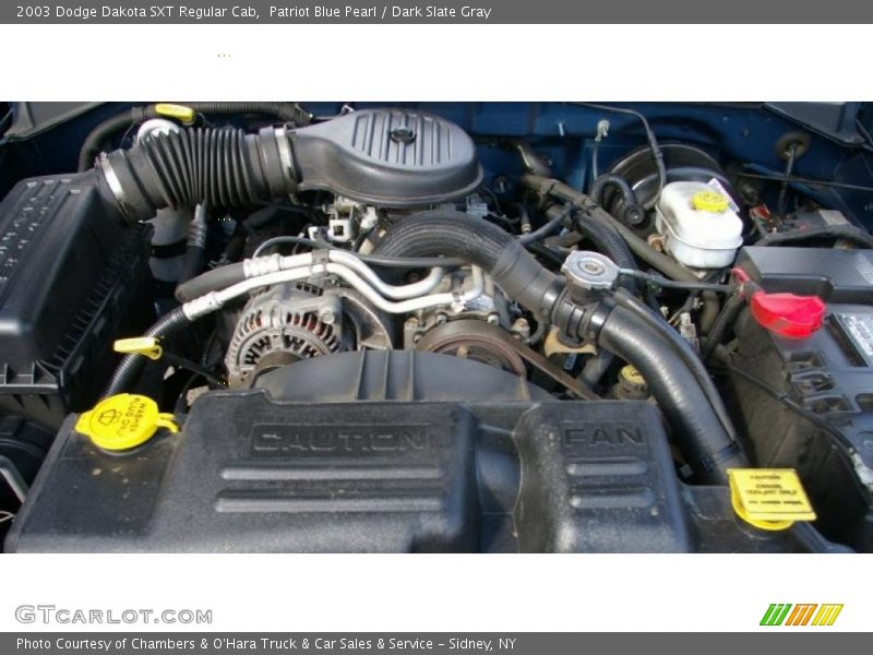 Patriot Blue Pearl / Dark Slate Gray 2003 Dodge Dakota SXT Regular Cab