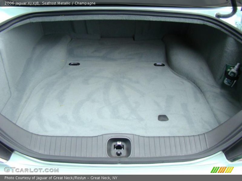 Seafrost Metallic / Champagne 2006 Jaguar XJ XJ8