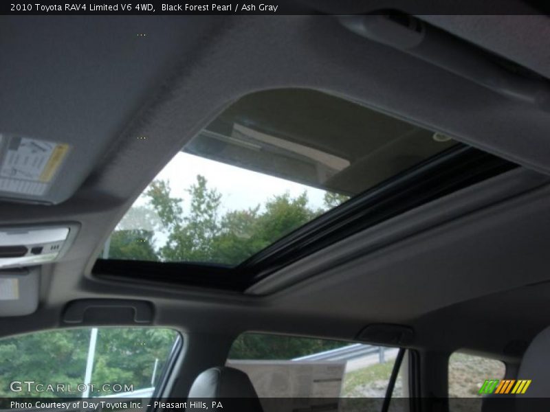 Black Forest Pearl / Ash Gray 2010 Toyota RAV4 Limited V6 4WD