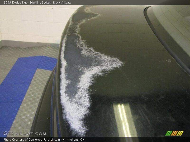 Black / Agate 1999 Dodge Neon Highline Sedan