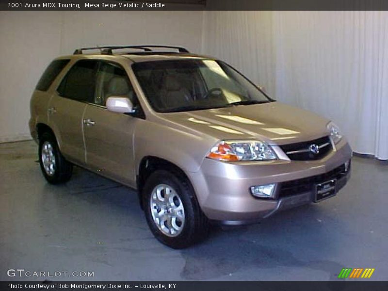 Mesa Beige Metallic / Saddle 2001 Acura MDX Touring