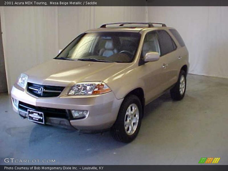 Mesa Beige Metallic / Saddle 2001 Acura MDX Touring