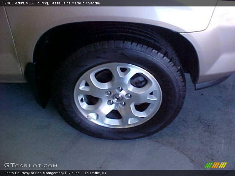 Mesa Beige Metallic / Saddle 2001 Acura MDX Touring