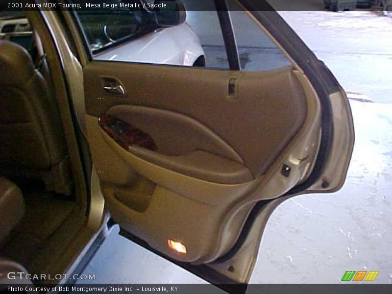 Mesa Beige Metallic / Saddle 2001 Acura MDX Touring