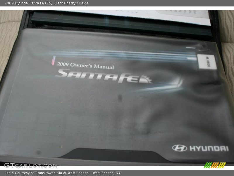 Dark Cherry / Beige 2009 Hyundai Santa Fe GLS