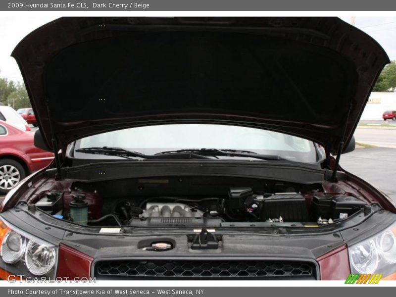 Dark Cherry / Beige 2009 Hyundai Santa Fe GLS