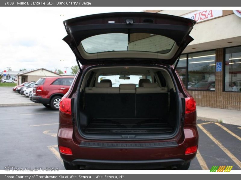 Dark Cherry / Beige 2009 Hyundai Santa Fe GLS