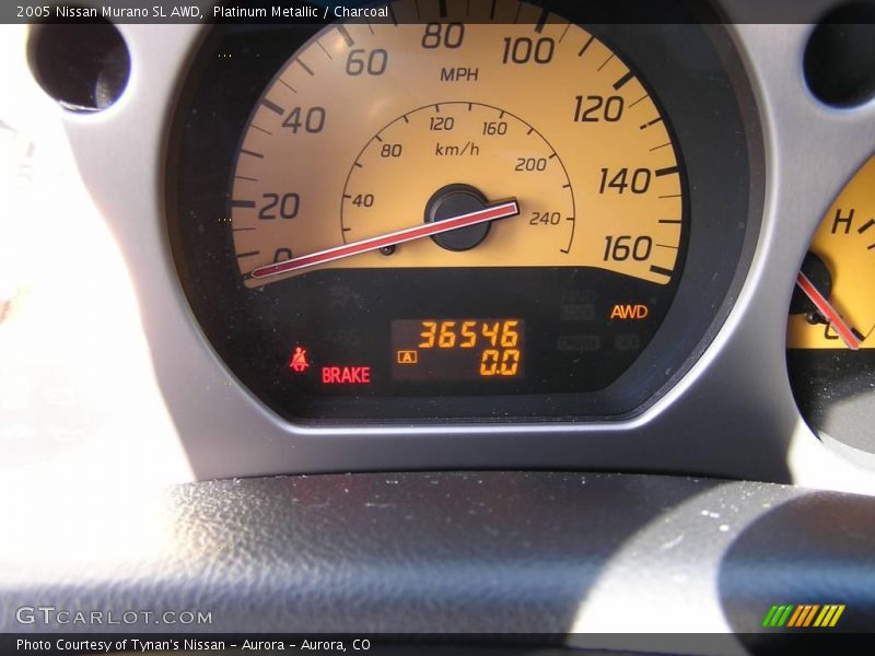 Platinum Metallic / Charcoal 2005 Nissan Murano SL AWD