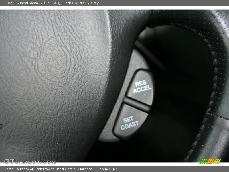 Black Obsidian / Gray 2005 Hyundai Santa Fe GLS 4WD