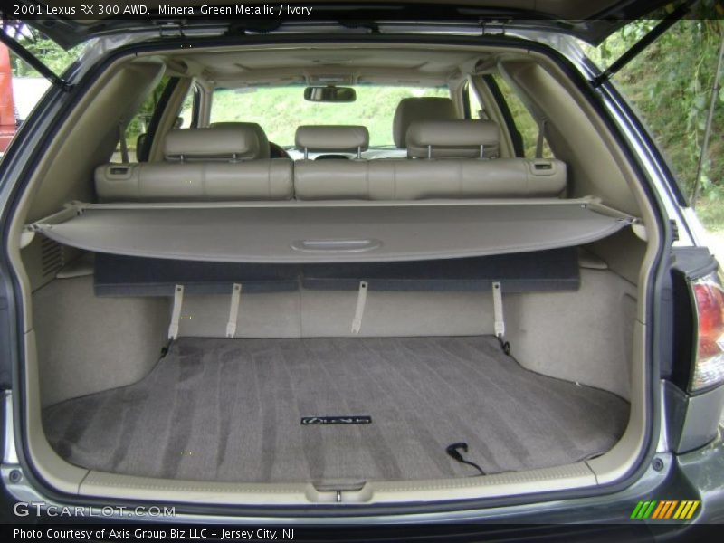 Mineral Green Metallic / Ivory 2001 Lexus RX 300 AWD