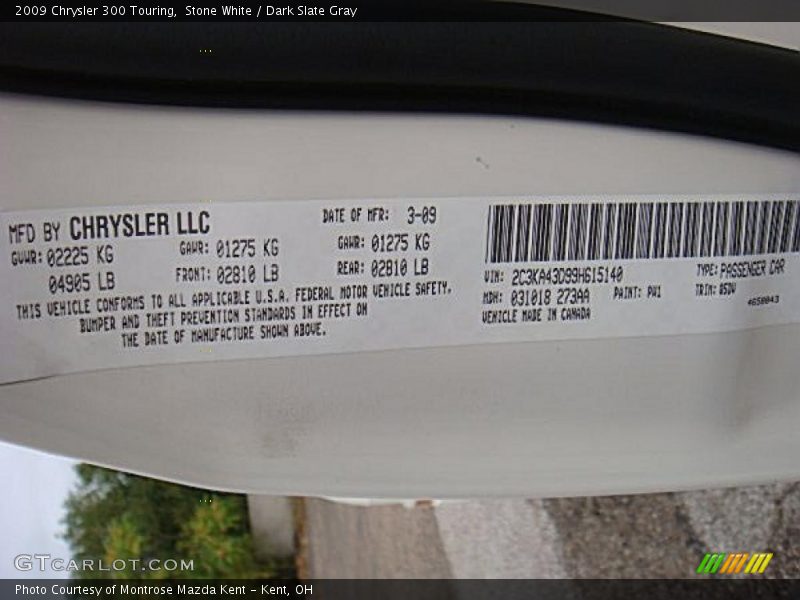 2009 300 Touring Stone White Color Code PW1