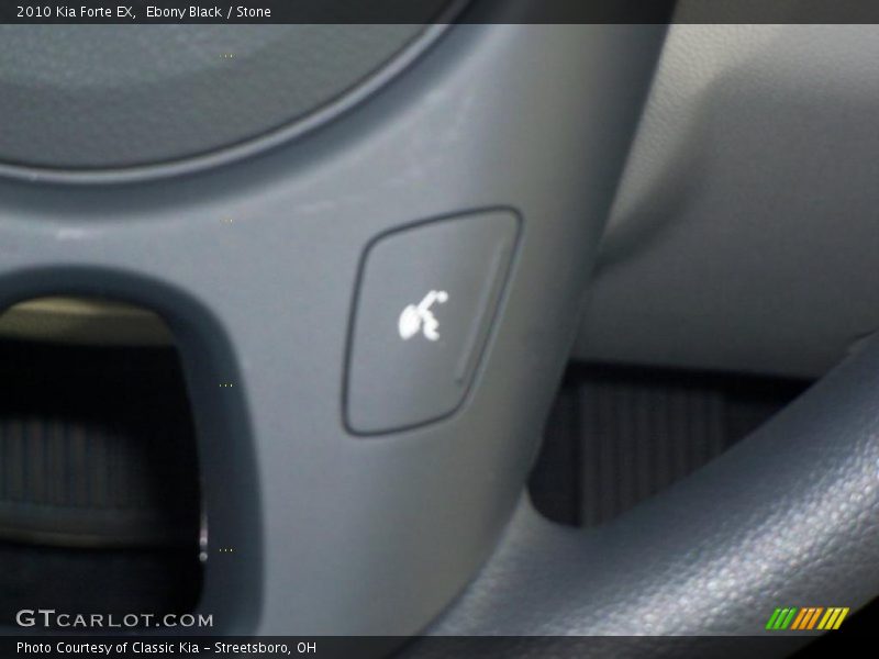 Ebony Black / Stone 2010 Kia Forte EX