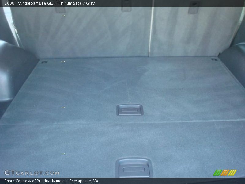 Platinum Sage / Gray 2008 Hyundai Santa Fe GLS