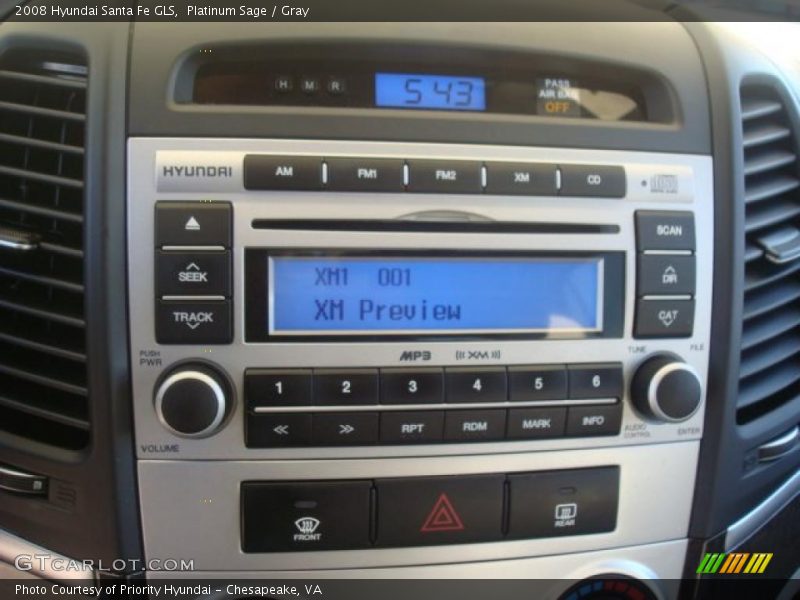 Platinum Sage / Gray 2008 Hyundai Santa Fe GLS