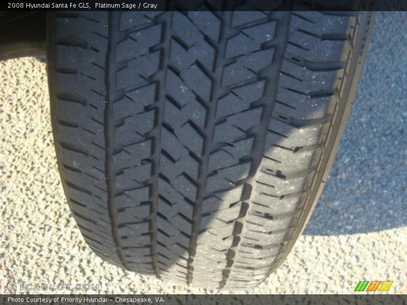 Platinum Sage / Gray 2008 Hyundai Santa Fe GLS
